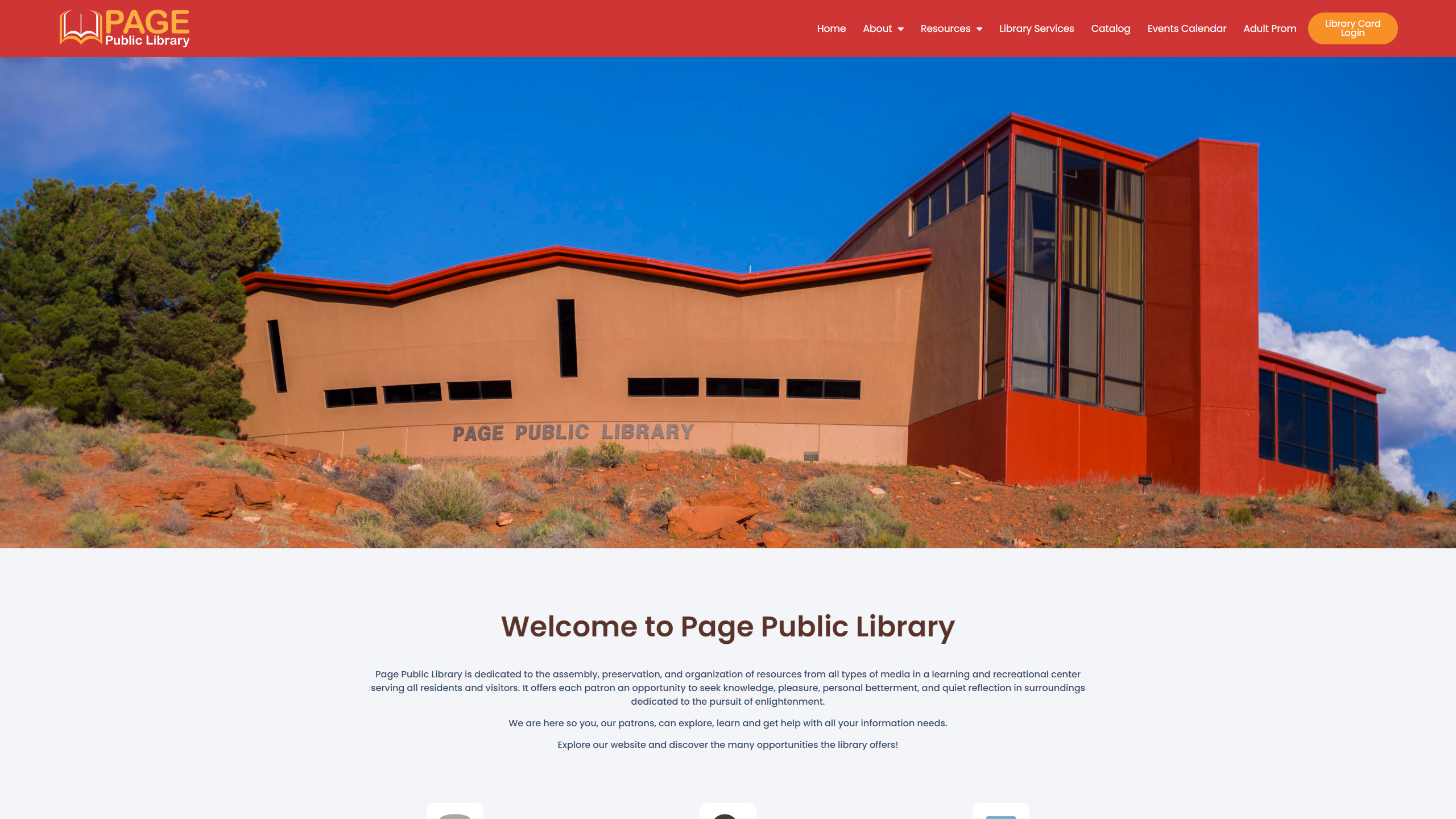 Screenshot of Page Public Library